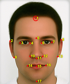 Anaface meme template - Anaface