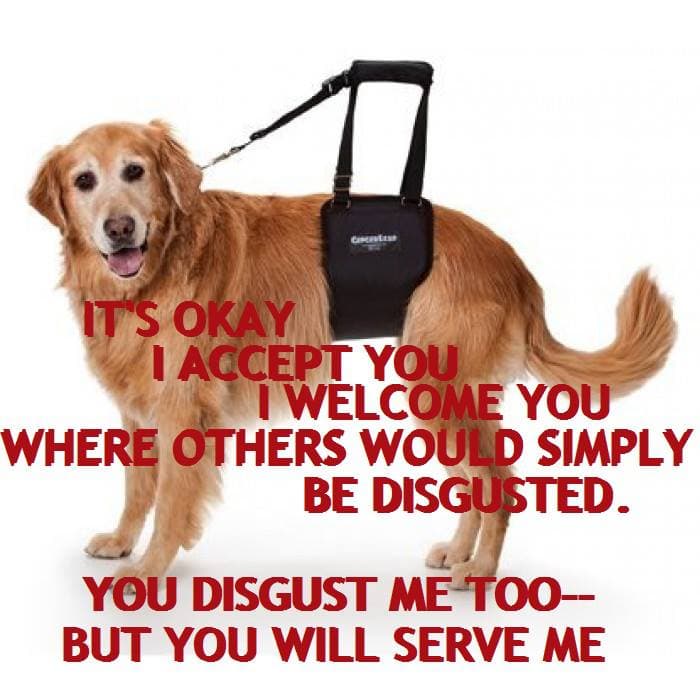 Aumm meme template - Aumm