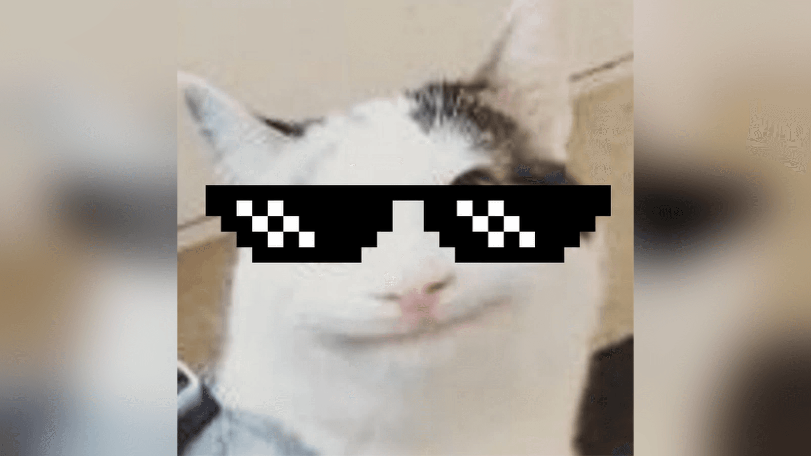 Beluga meme template - Beluga