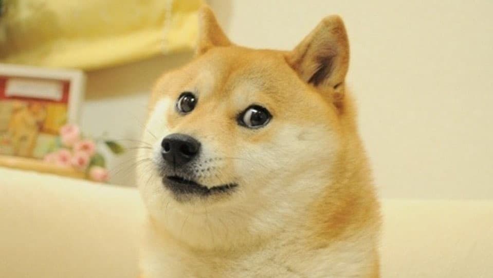 Doge meme template - Doge
