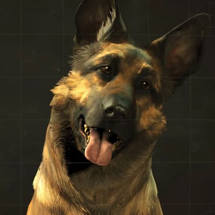 Dogmeat meme template - Dogmeat
