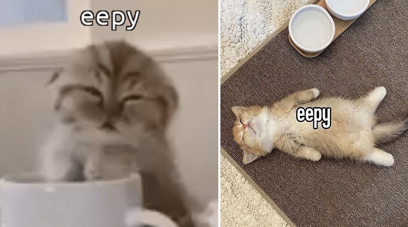 Eepy meme template - Eepy
