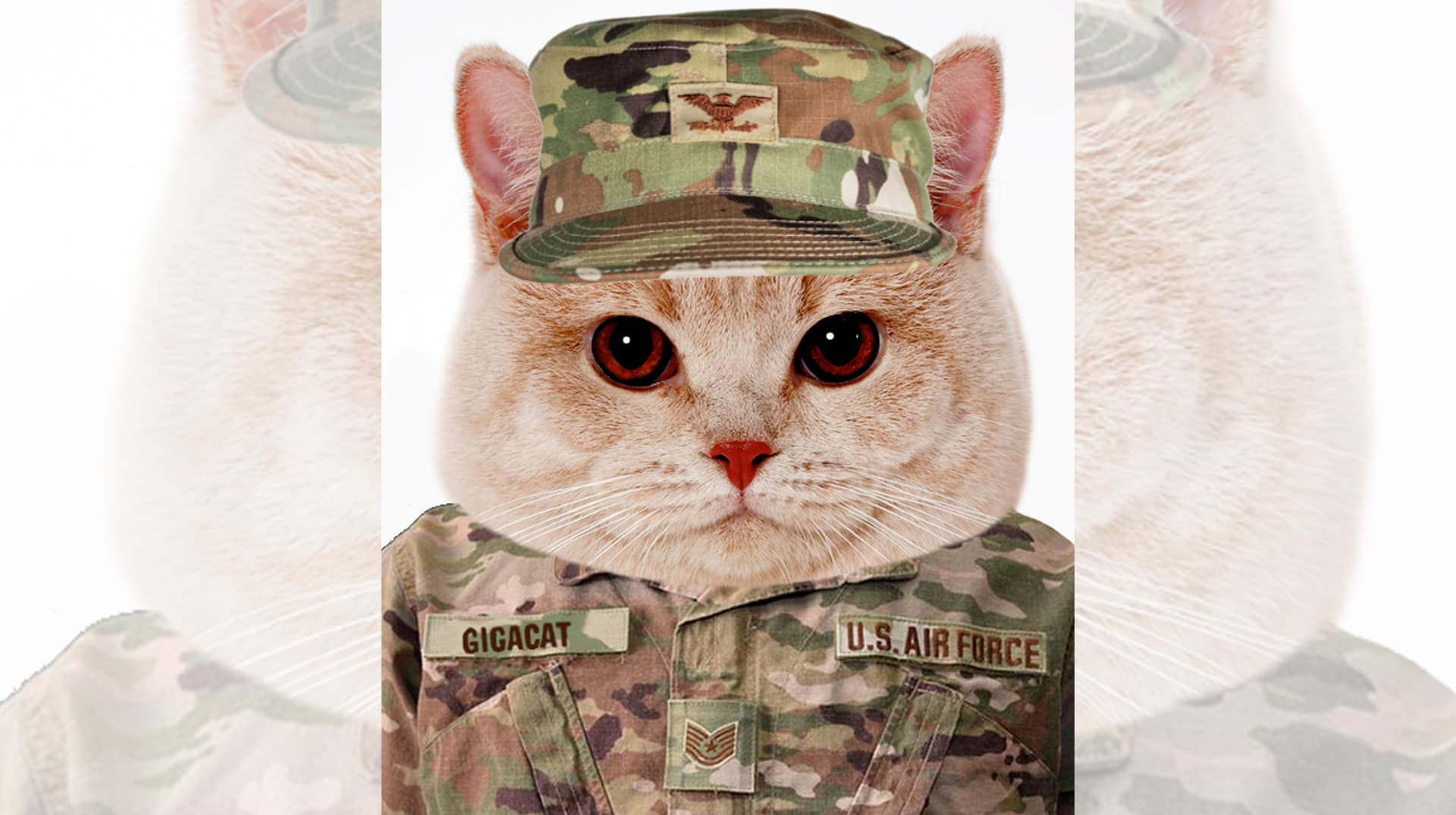 Gigacat meme template - Gigacat