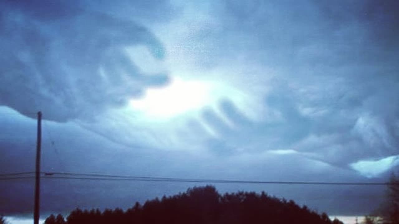 Goatse meme template - Goatse