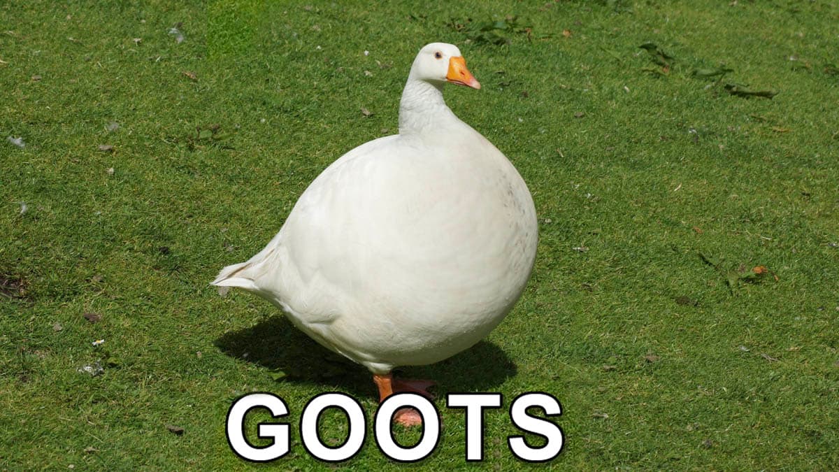 Goots meme template - Goots