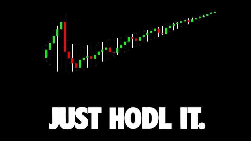 Hodl meme template - HODL
