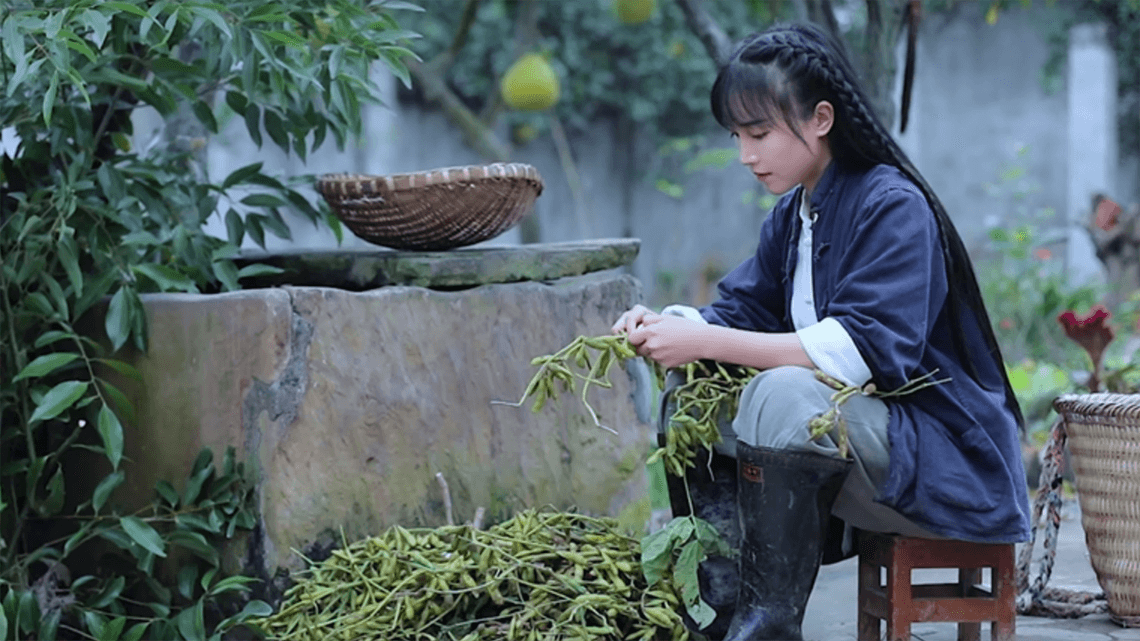 Li Ziqi meme template - Li Ziqi