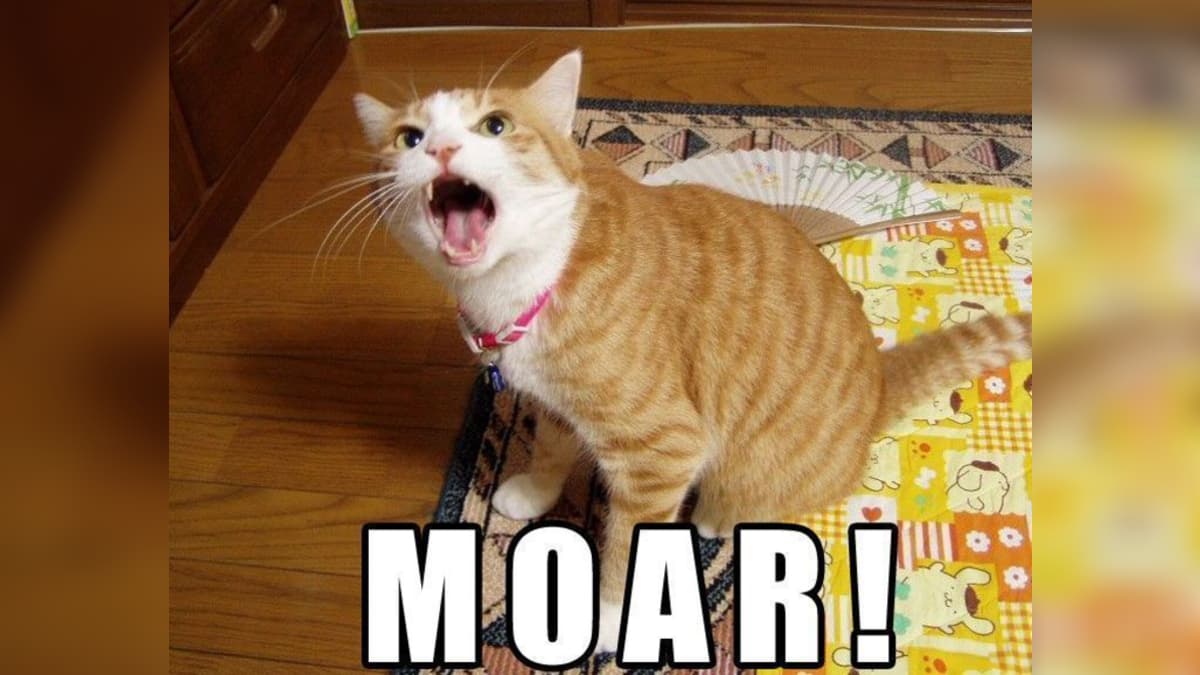 MOAR meme template - MOAR