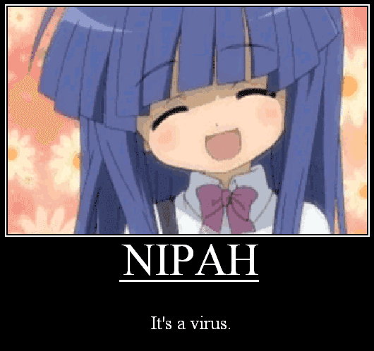 Nipah meme template - Nipah