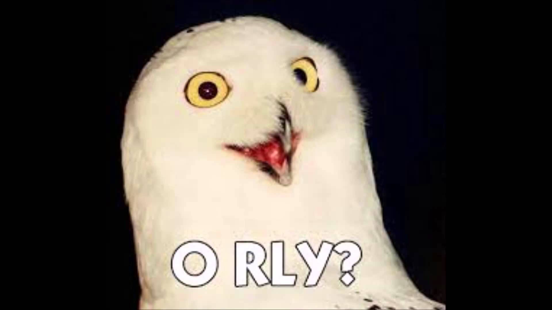 O RLY? meme template - O RLY