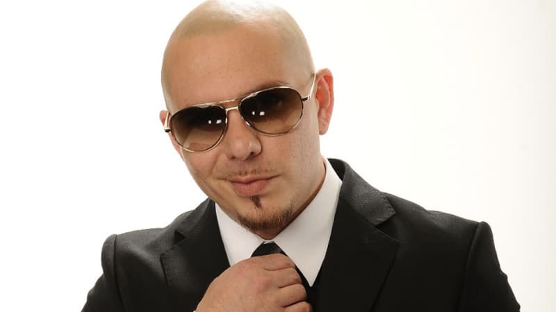 Pitbull meme template - Pitbull