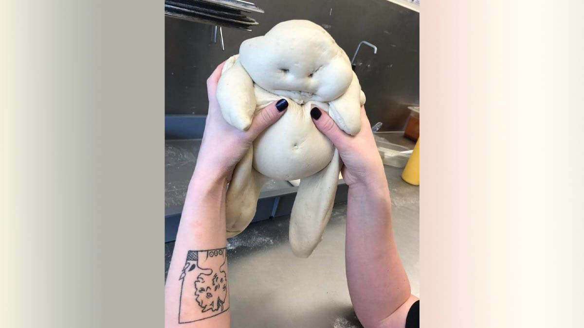 Plimbo meme template - Plimbo