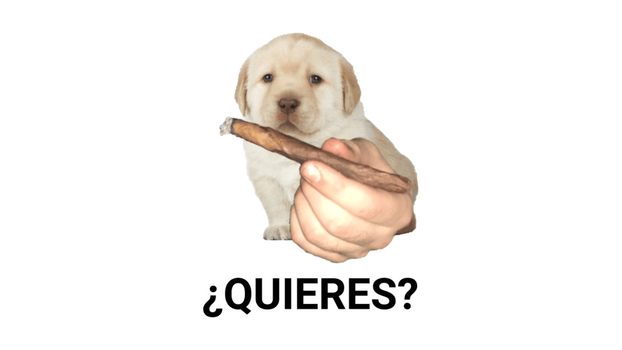 ¿Quieres? meme template - ¿Quieres?