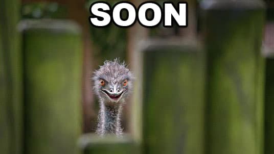 SOON meme template - SOON