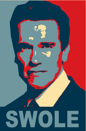 Swole meme template - Swole Doge