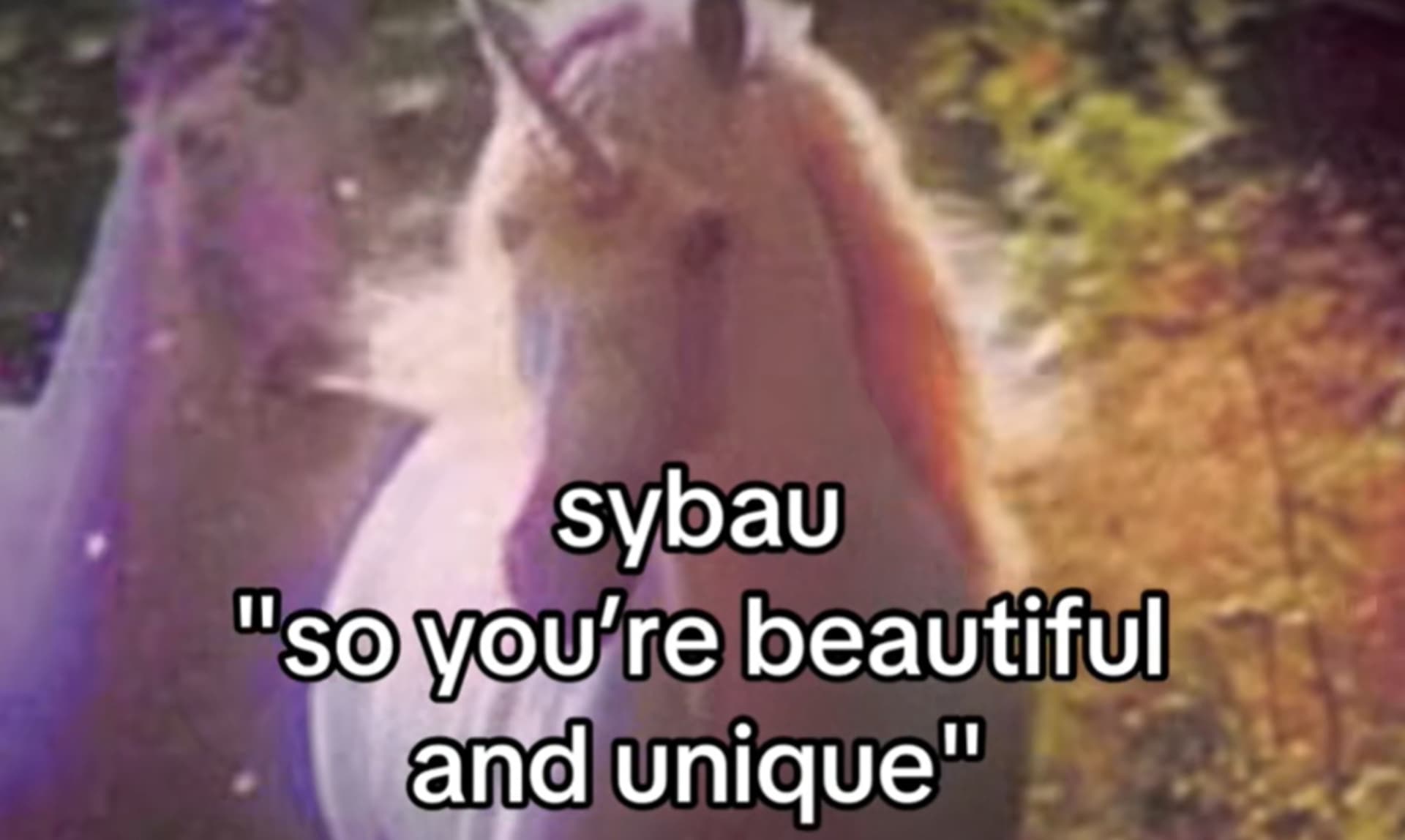 SYBAU meme template - SYBAU