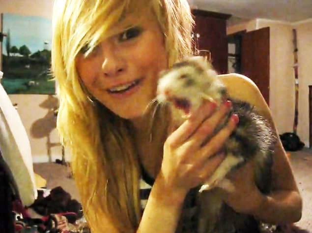 Tabby meme template - Tabby Cat