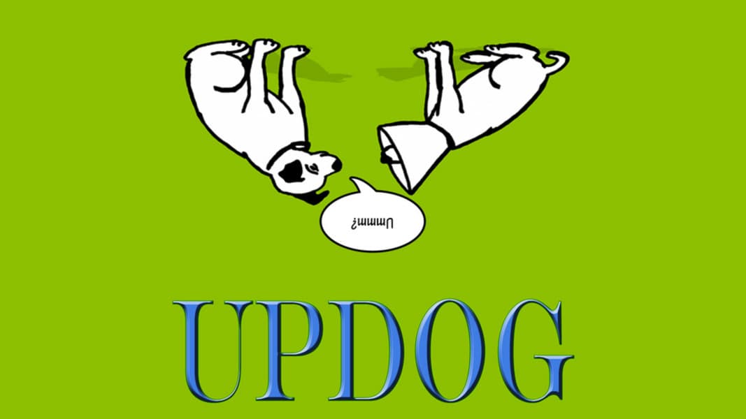 Updog meme template - Updog