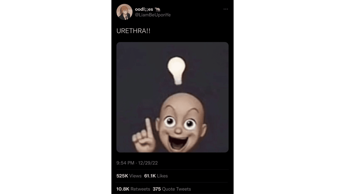URETHRA!! meme template - URETHRA!!