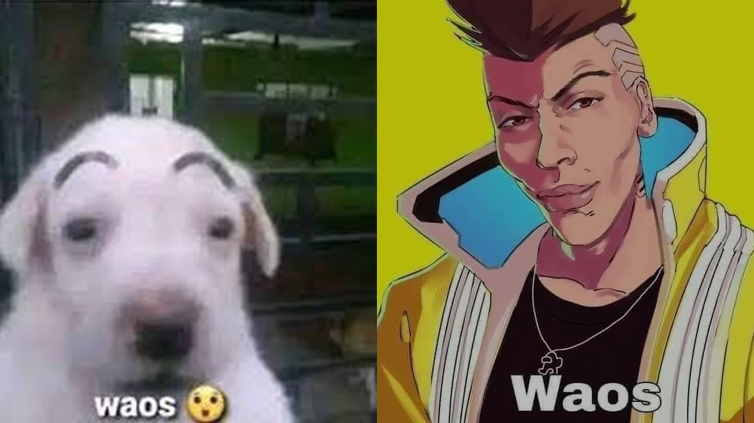 Waos meme template - Waos