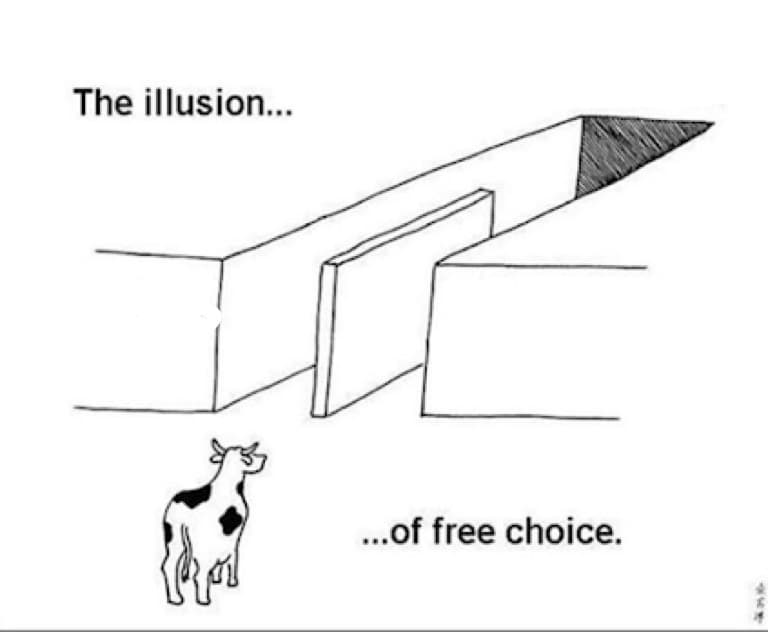 Illusion of free choice