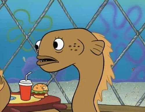 Sadly I Am Only An Eel