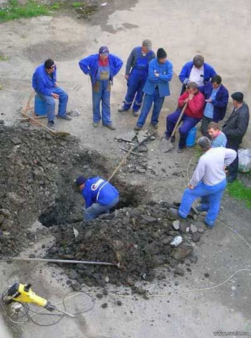 single worker digging hole