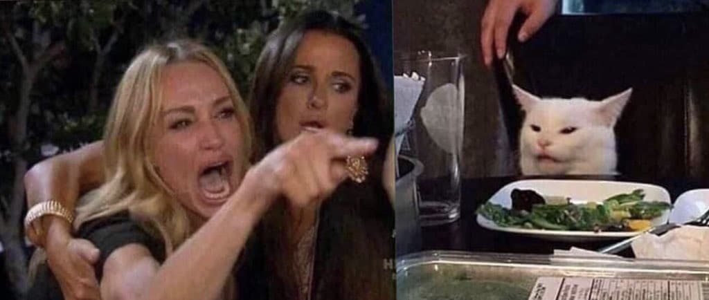 woman yelling at cat meme template - Woman Yelling at a Cat