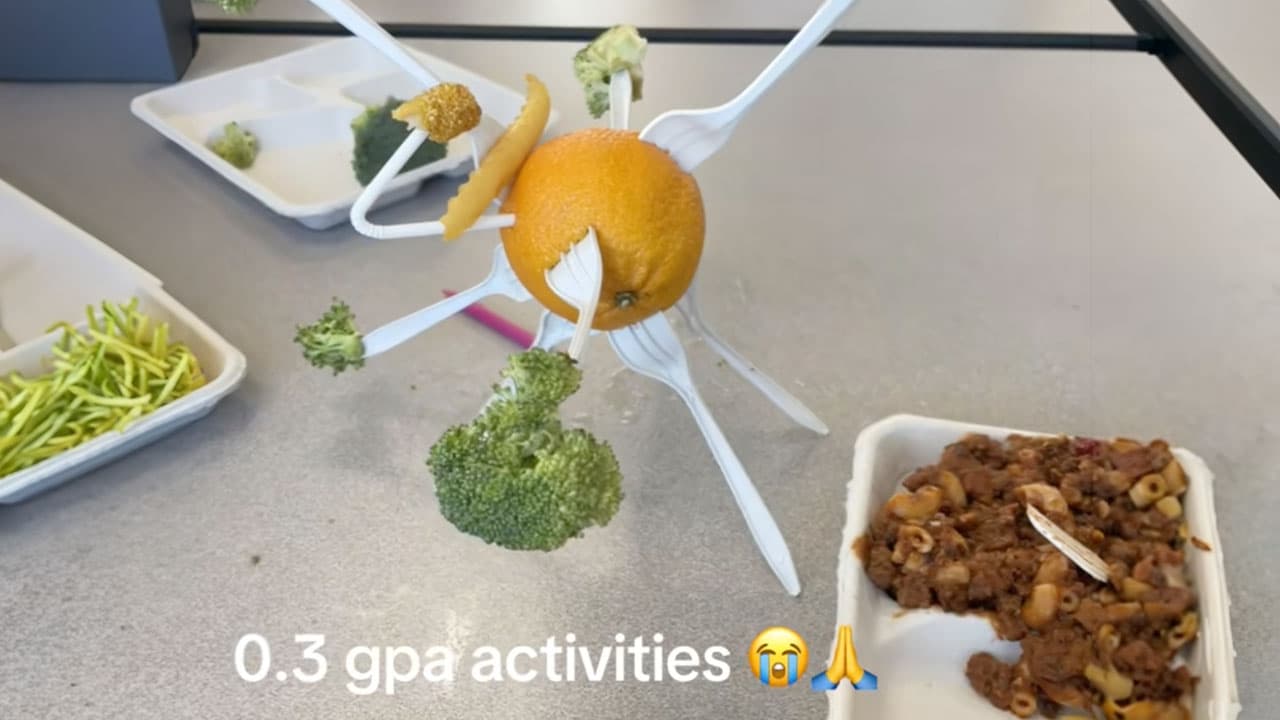 0.5 GPA Activities (TikTok Trend) meme template - 0.5 GPA Activities