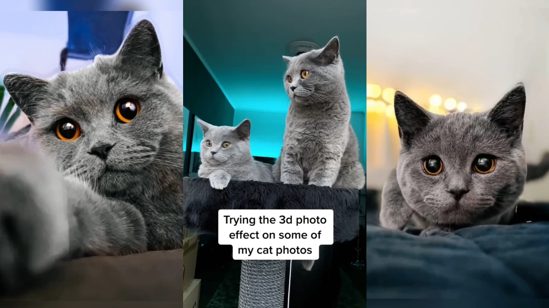 3D Photo Trend / Phonky Town meme template - 3D Photo Trend