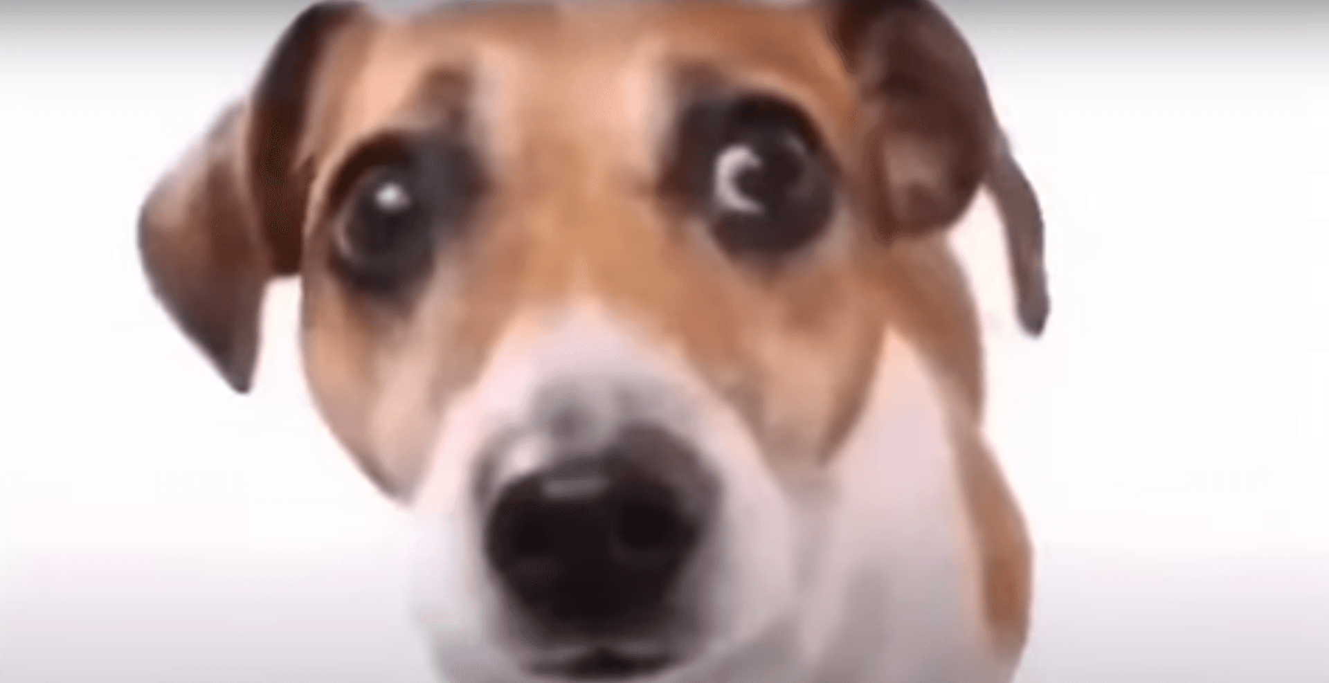 A A Folou / A A Follow meme template - A A Folou