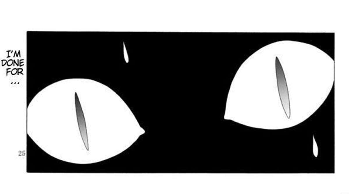 A Cat Is Fine Too meme template - A Cat Is Fine Too