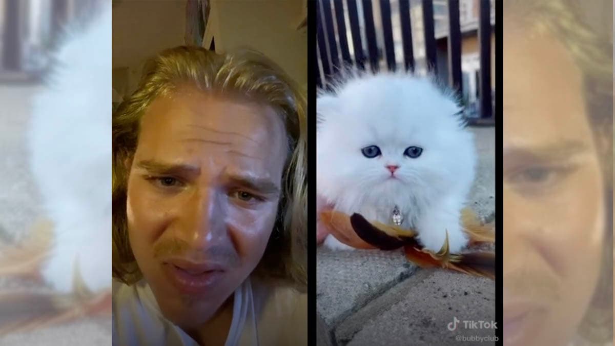 A Dubious Little Creature Getting Up To Mischief meme template - Dubious Little Creature