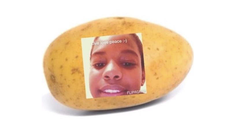 A Potato Flew Around My Room meme template - A Potato Flew Around My Room