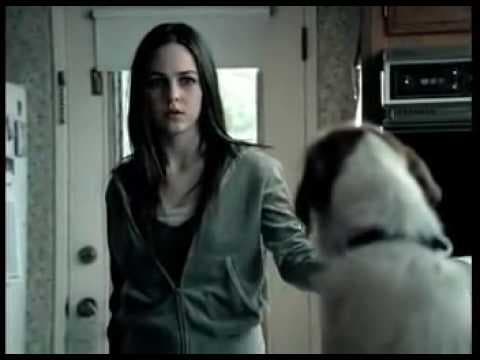 Above the Influence Talking Dog PSA meme template - Above the Influence Dog