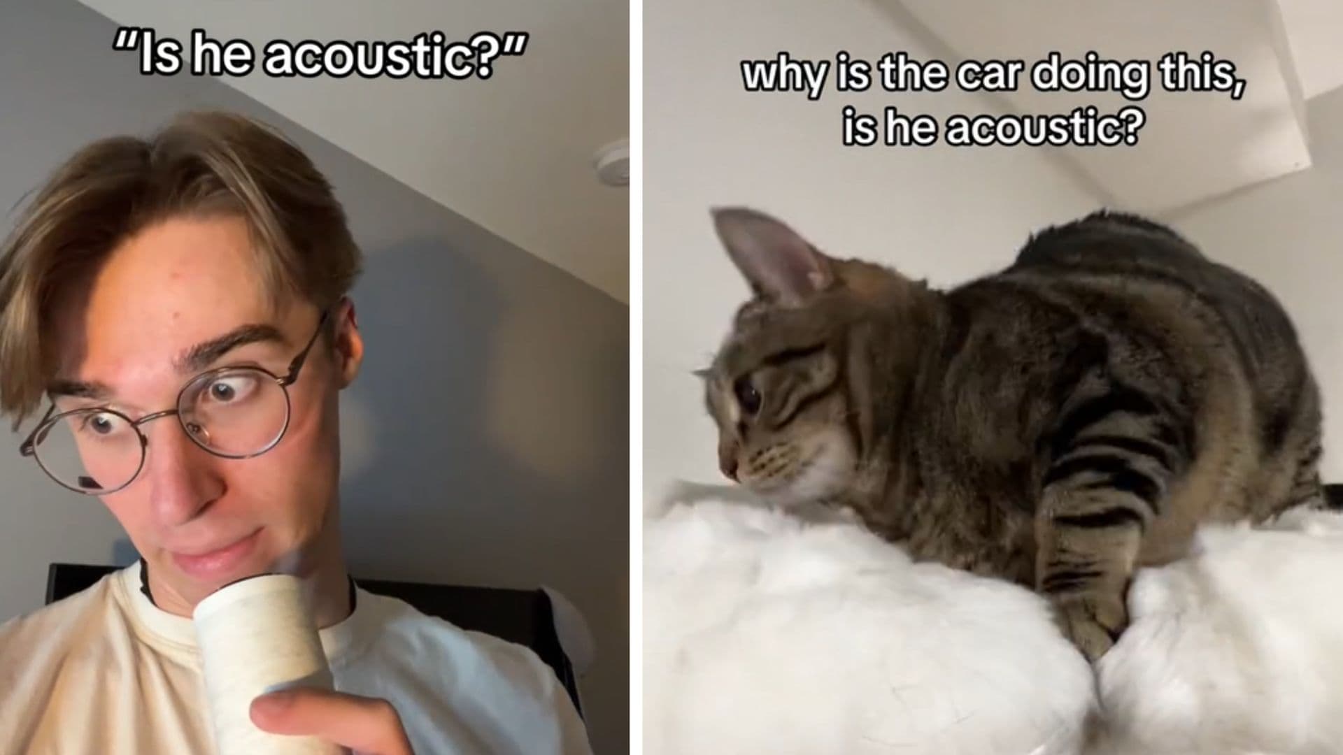 Acoustic (Slang) meme template - Acoustic Slang Maker
