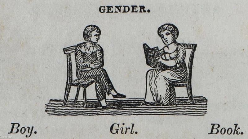 "Ah Yes The Three Genders" meme template - Ah Yes The Three Genders