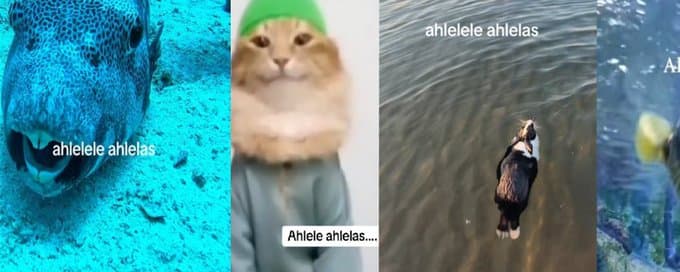 Ahlelele Ahlelas meme template - Ahlelele Ahlelas