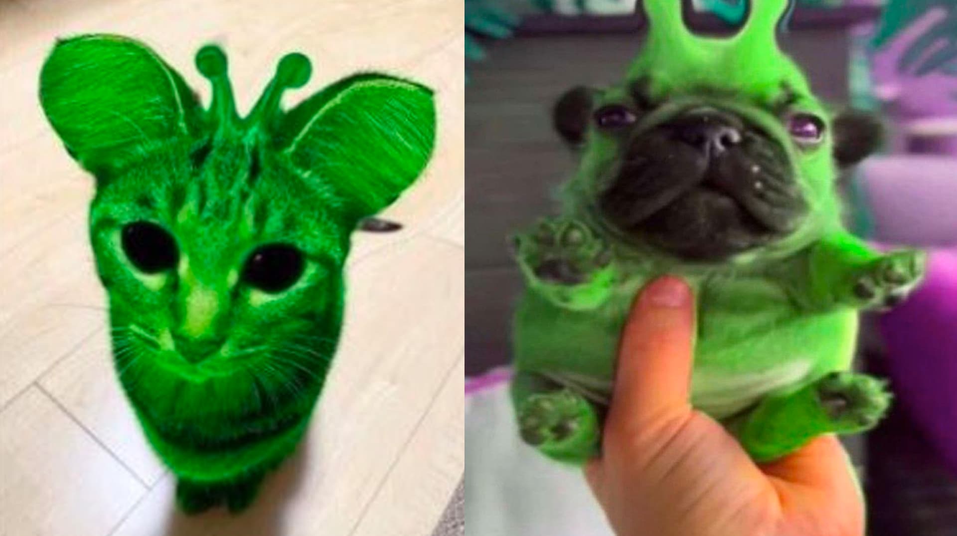 Alienposting / Zeep Glorp meme template - Alienposting