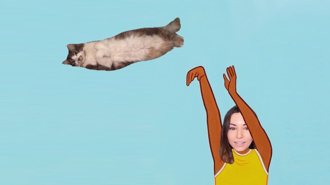 Alinity Cat Abuse meme template - Alinity Cat