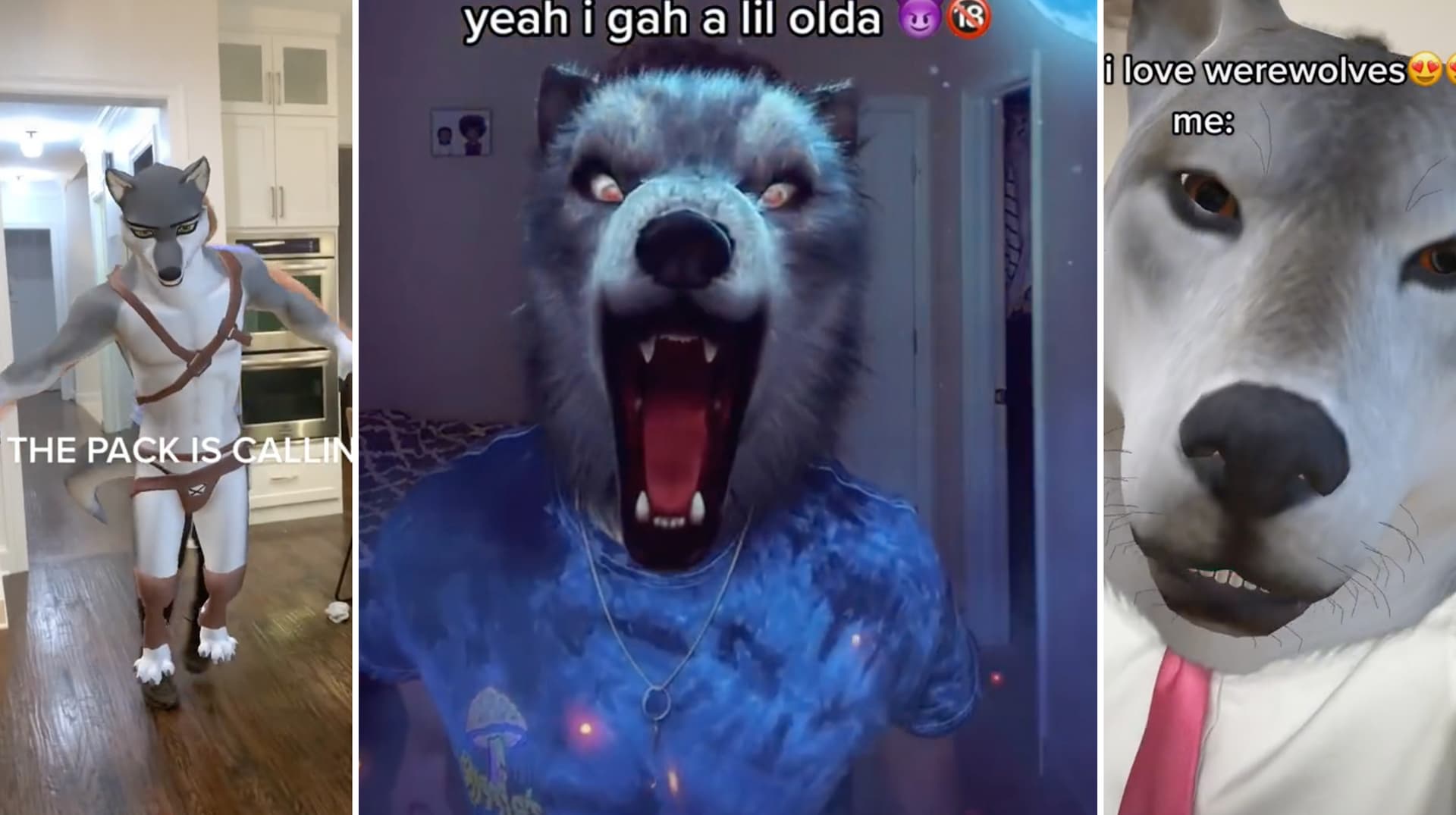 Alpha Werewolf Transformation (TikTok Filter) meme template - Alpha Werewolf
