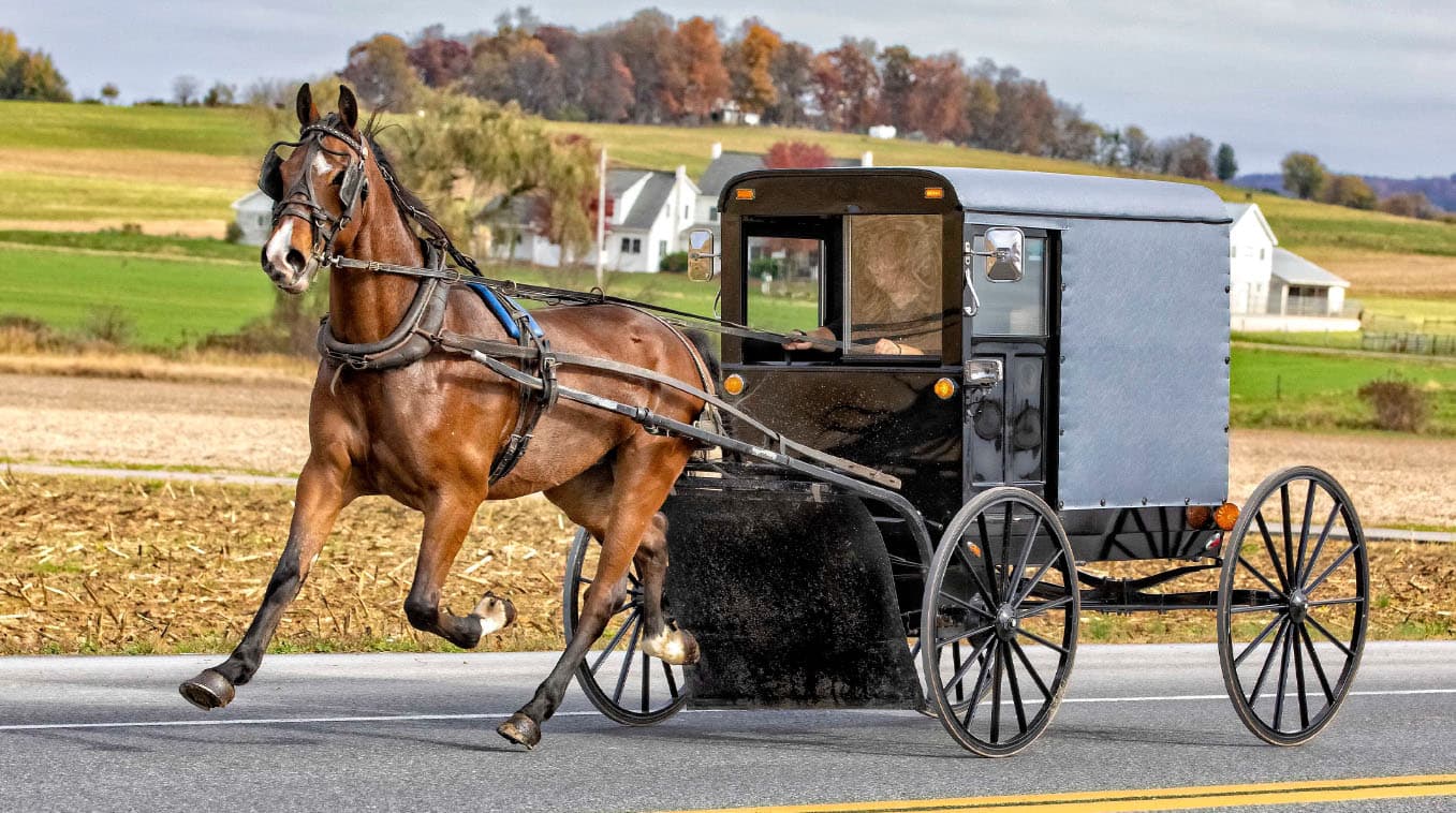 Amish Oil Change meme template - Amish Oil Change