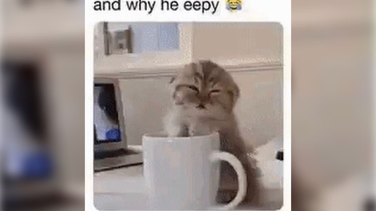 And Why He Eepy? meme template - And Why He Eepy