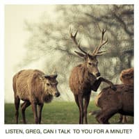 Animals Talking In All Caps meme template - Animals Talking In All Caps