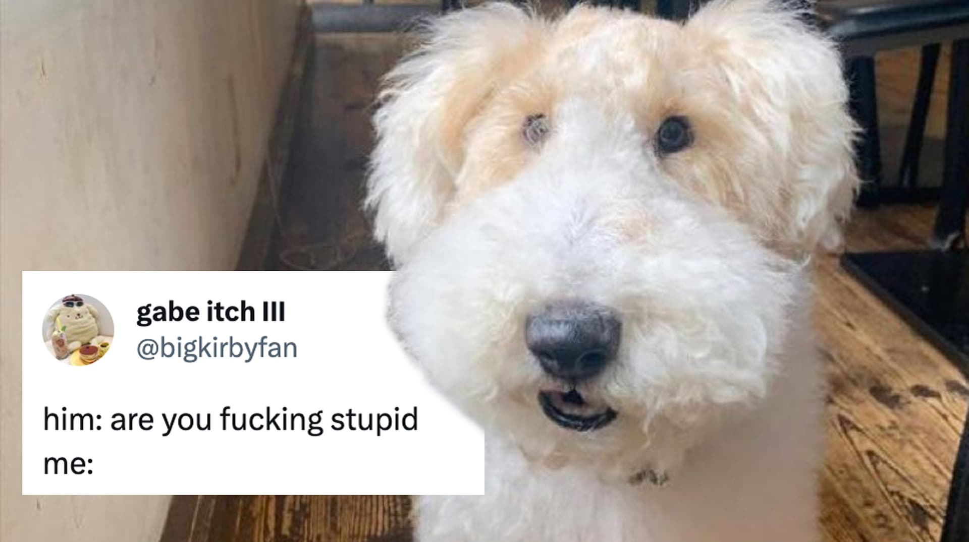 Are You Fucking Stupid? Me: meme template - Are You Fucking Stupid