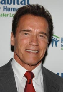 Arnold Schwarzenegger meme template - Arnold Schwarzenegger