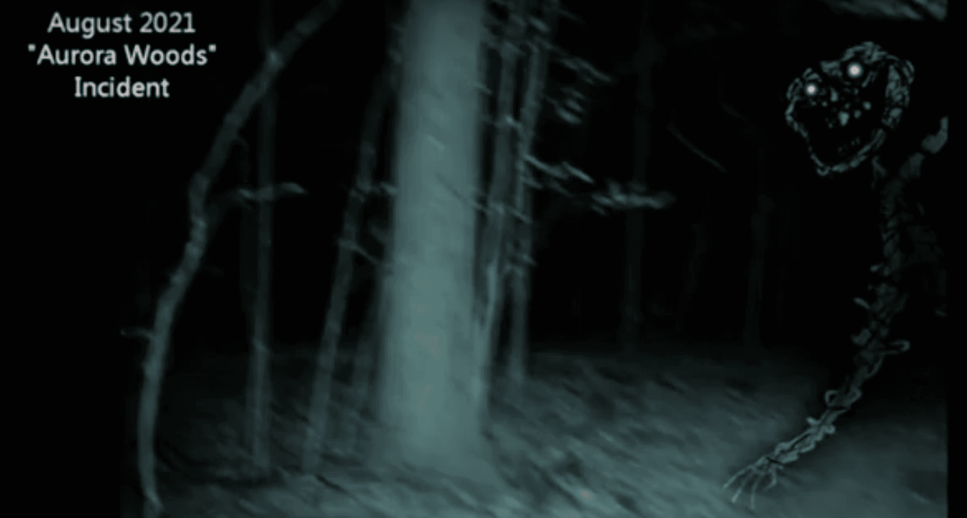 Aurora Woods Incident meme template - Aurora Woods Incident