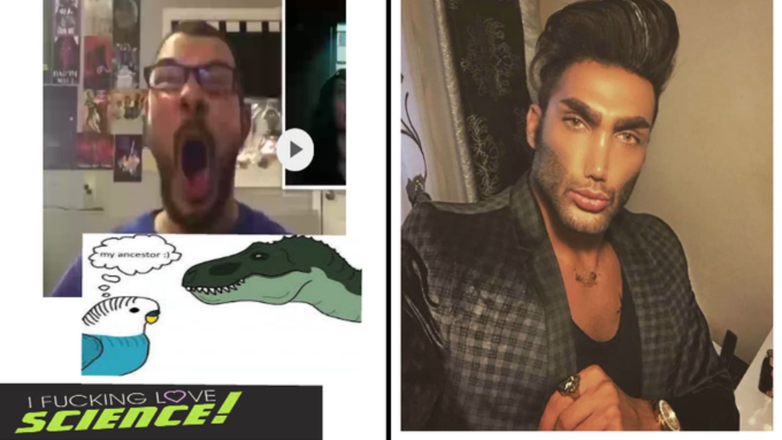 Average Fan vs. Average Enjoyer meme template - Average Fan vs Average Enjoyer