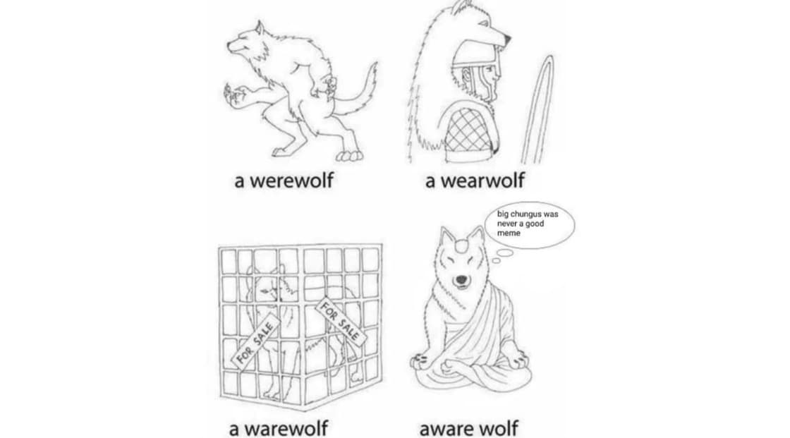 Aware Wolf meme template - Aware Wolf