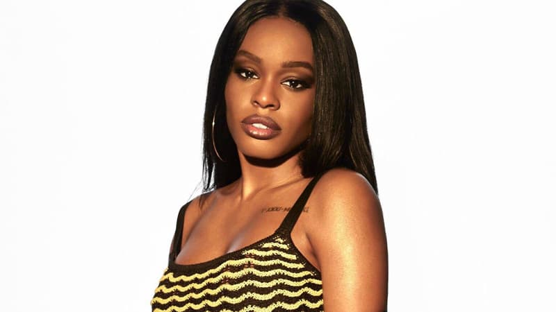 Azealia Banks meme template - Azealia Banks